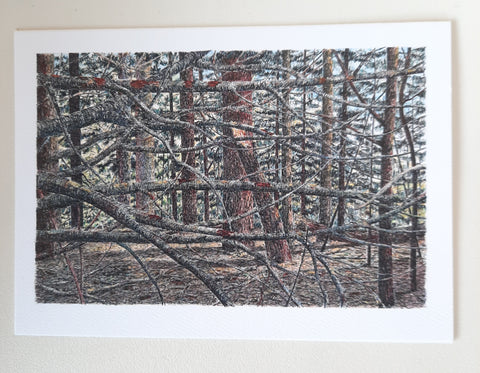 "In the Pines" Art Card by Jim Maki
