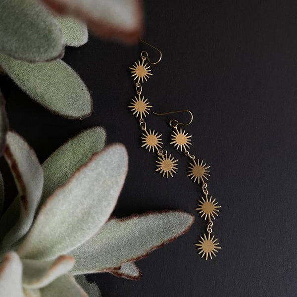 The earrings have four starburst patterns. There is a fuzzy plant next to them.